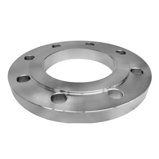 Cu Ni 90-10 Insert Flanges